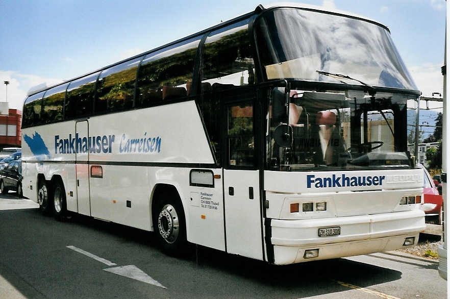 (061'234) - Fankhauser, Thalwil - ZH 310'308 - Neoplan am 5. Juli 2003 in Thun, CarTerminal