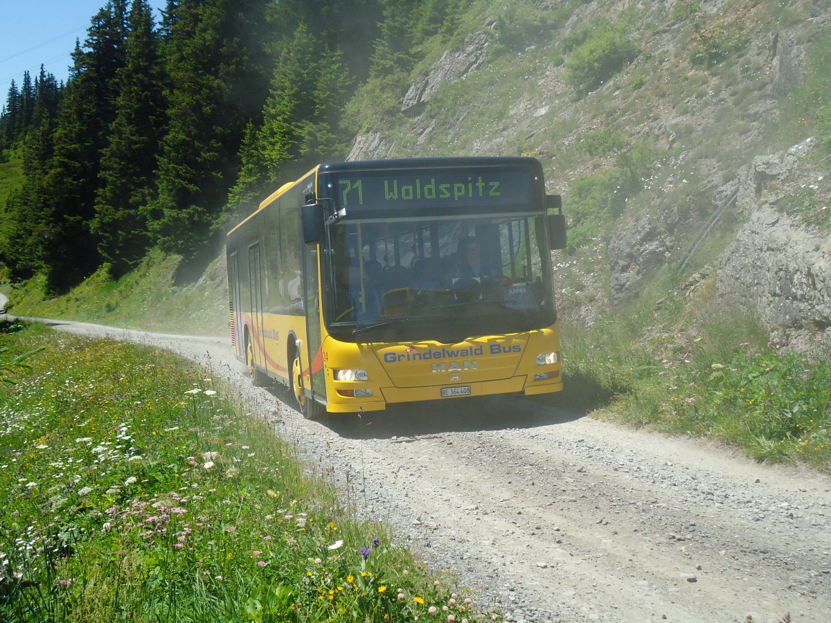 (134'703) - AVG Grindelwald - Nr. 24/BE 364'408 - MAN/Gppel am 3. Juli 2011 in Grindelwald, Waldspitz