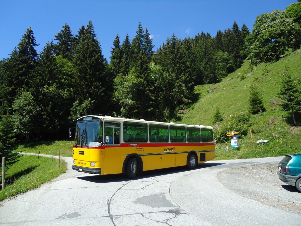 (134'736) - AVG Meiringen - Nr. 74/BE 607'481 - Saurer/R&J (ex P 24'357) am 3. Juli 2011 in Grindelwald, Weidli