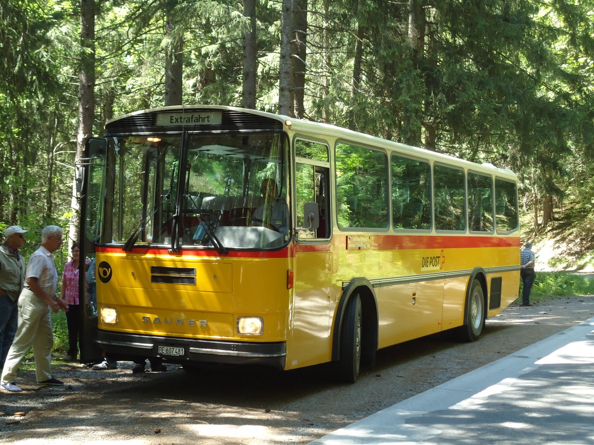 (134'740) - AVG Meiringen - Nr. 74/BE 607'481 - Saurer/R&J (ex P 24'357) am 3. Juli 2011 auf der Strasse Waldspitz-Grindelwald