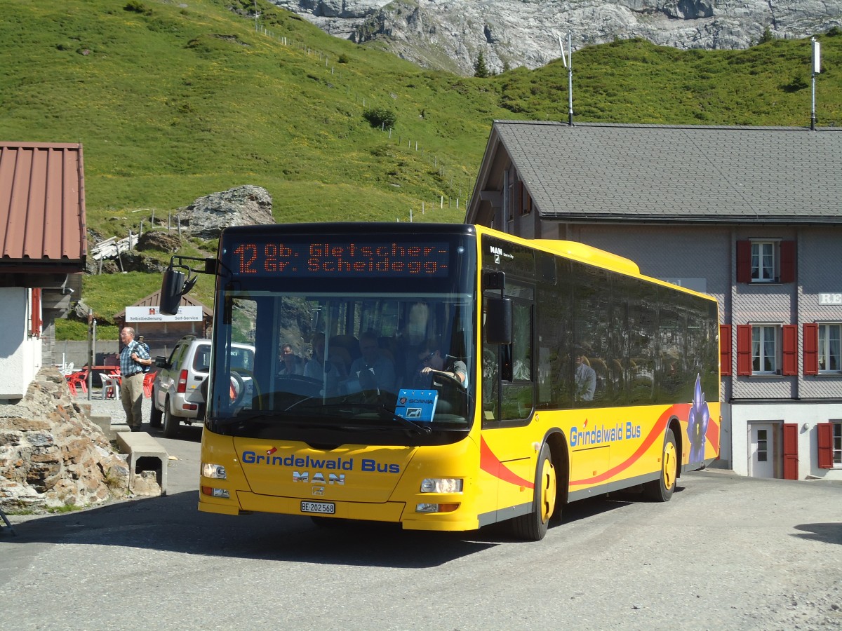 (134'787) - AVG Grindelwald - Nr. 14/BE 202'568 - MAN/Gppel am 3. Juli 2011 auf der Grossen Scheidegg