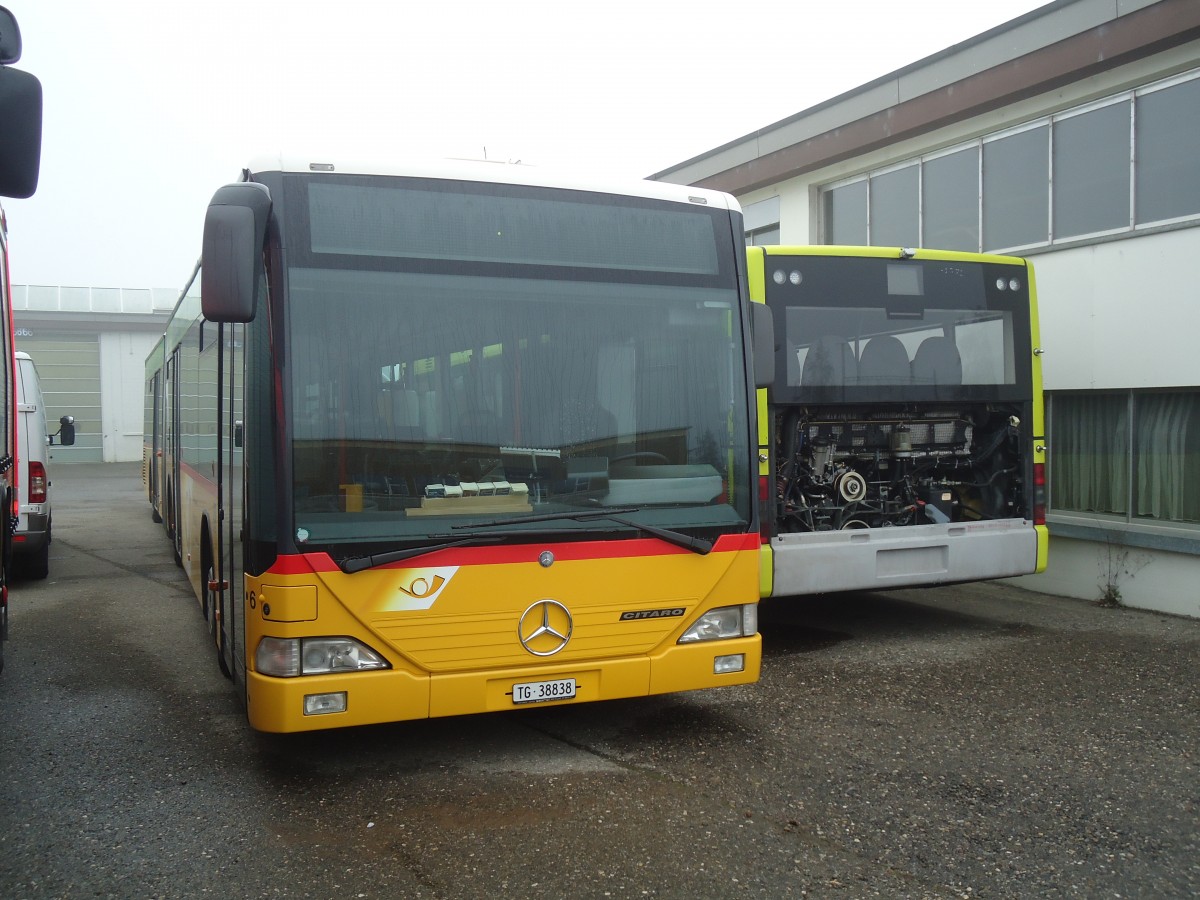 (136'880) - Eurobus, Arbon - Nr. 6/TG 38'838 - Mercedes am 23. November 2011 in Wil, Larag