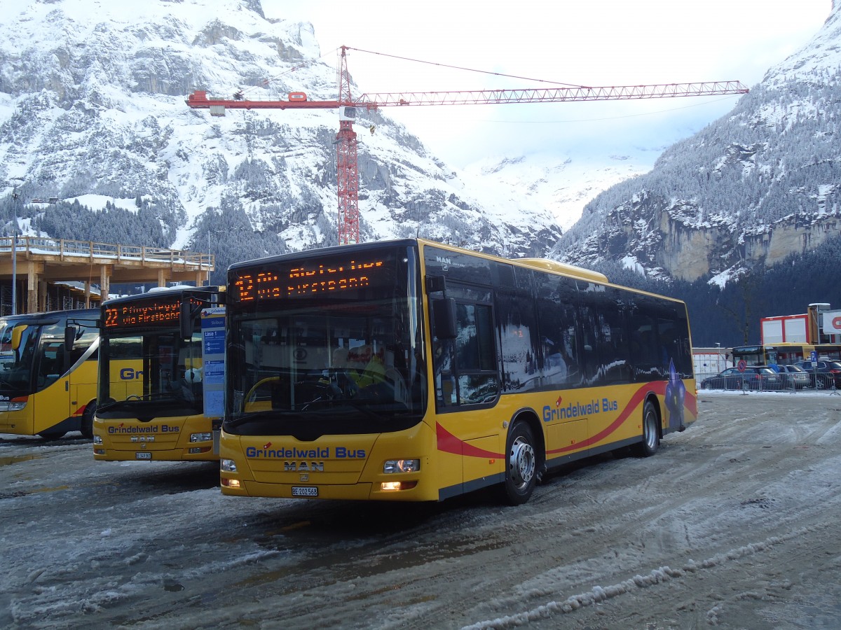 (148'615) - AVG Grindelwald - Nr. 14/BE 202'568 - MAN/Gppel am 5. Januar 2014 beim Bahnhof Grindelwald