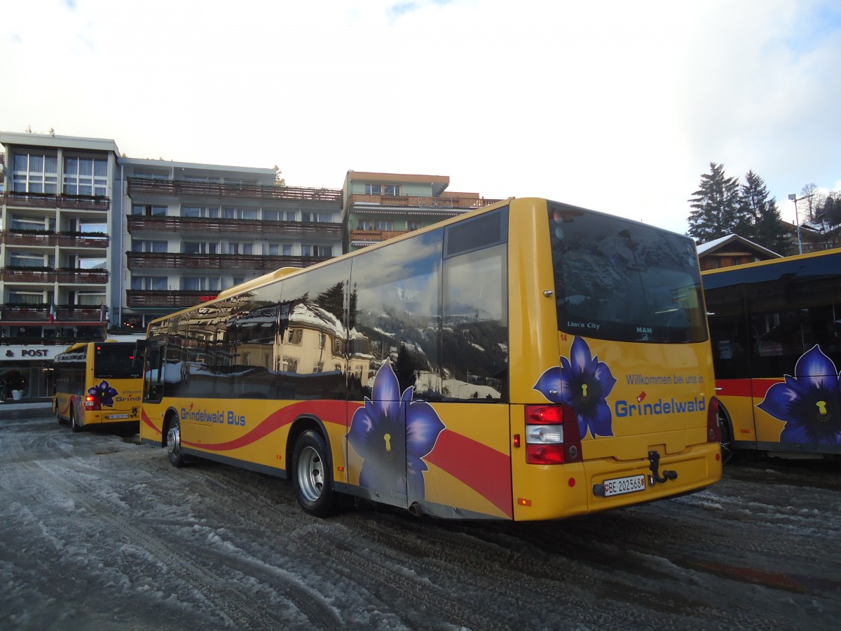 (148'631) - AVG Grindelwald - Nr. 14/BE 202'568 - MAN/Gppel am 5. Januar 2014 beim Bahnhof Grindelwald