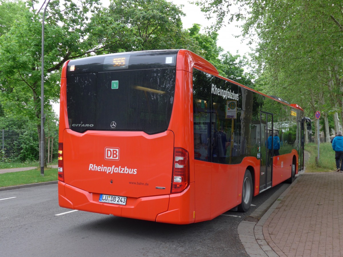 (150'142) - Rheinpfalzbus, Ludwigshafen - LU-DB 243 - Mercedes am 26. April 2014 in Speyer, Technik-Museum