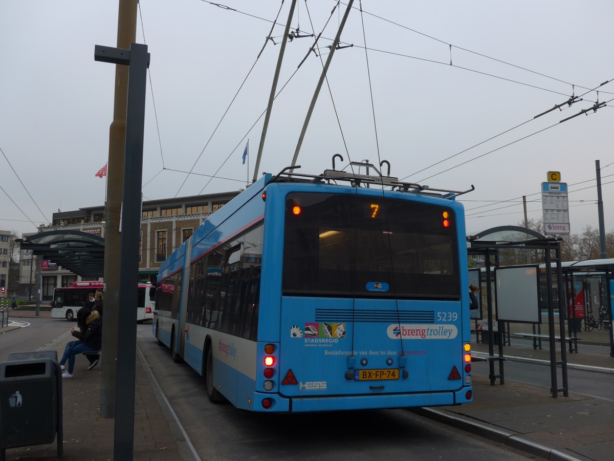 (157'015) - Breng, Ijsselmuiden - Nr. 5239/BX-FP-74 - Berkhof Gelenktrolleybus am 20. November 2014 in Arnhem, Willemsplein