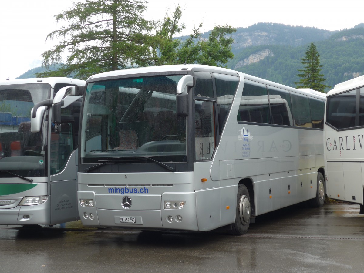 (162'437) - Ming, Sils-Maria - GR 162'599 - Mercedes am 21. Juni 2015 in Meiringen, Balm