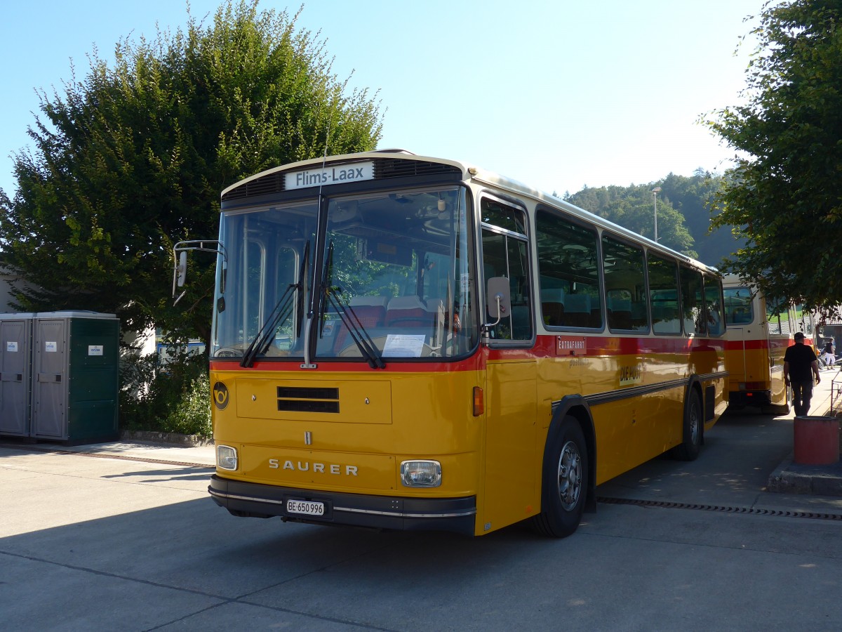 (163'918) - Kammermann, Spiez - BE 650'996 - Saurer/Hess (ex Flury, Balm; ex P 24'233) am 29. August 2015 in Oberkirch, CAMPUS Sursee