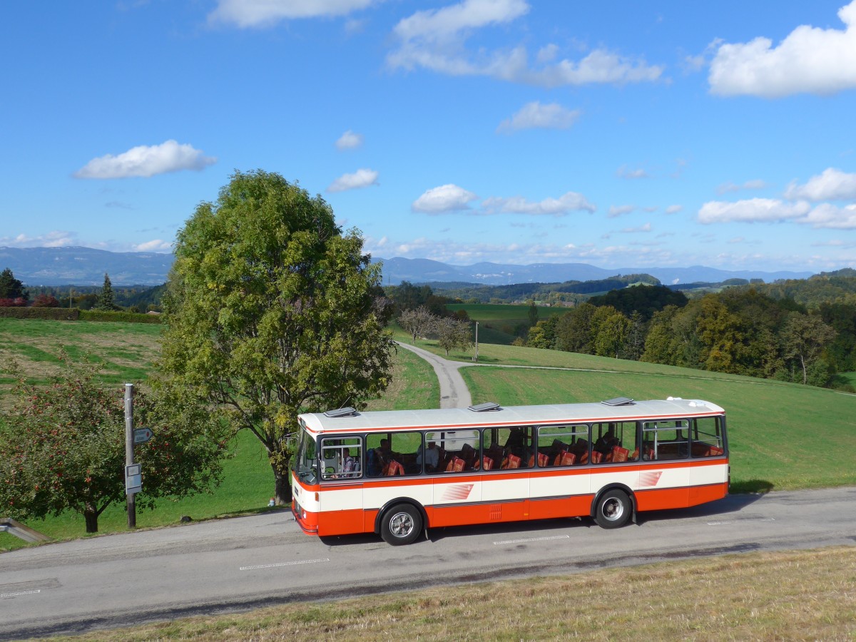 (166'024) - Frey, Opfikon - GL 15'272 - FBW/R&J (ex Tiemann, Oetwil Nr. 20; ex AAGS Schwyz Nr. 20) am 4. Oktober 2015 in Kaltacker, Brgglen