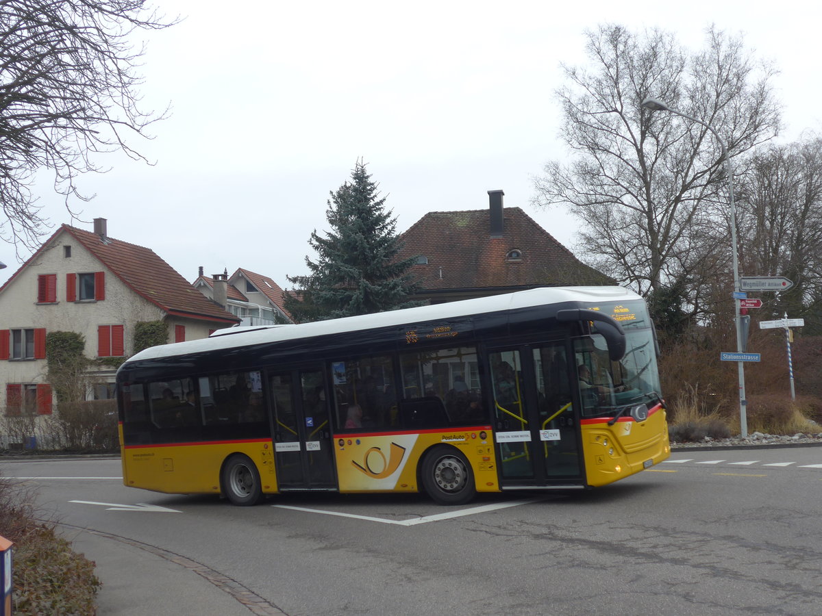 (178'447) - Moser, Flaach - Nr. 289/ZH 480'005 - Gppel am 10. Februar 2017 beim Bahnhof Rickenbach-Attikon