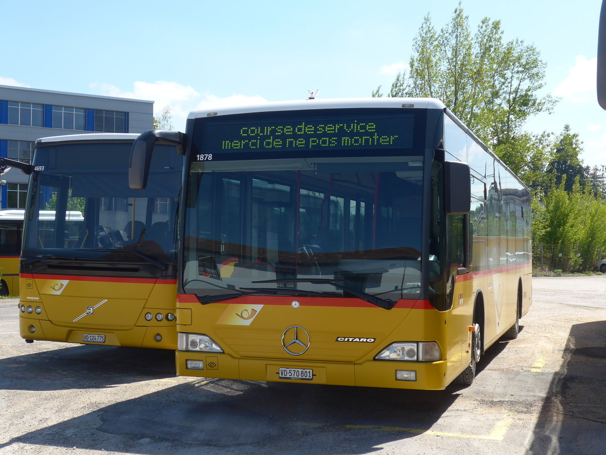 (179'873) - Interbus, Yverdon - Nr. 59/VD 570'801 - Mercedes (ex CarPostal Ouest; ex PostAuto Bern; ex P 25'380) am 29. April 2017 in Yverdon, Postgarage (Einsatz PostAuto)