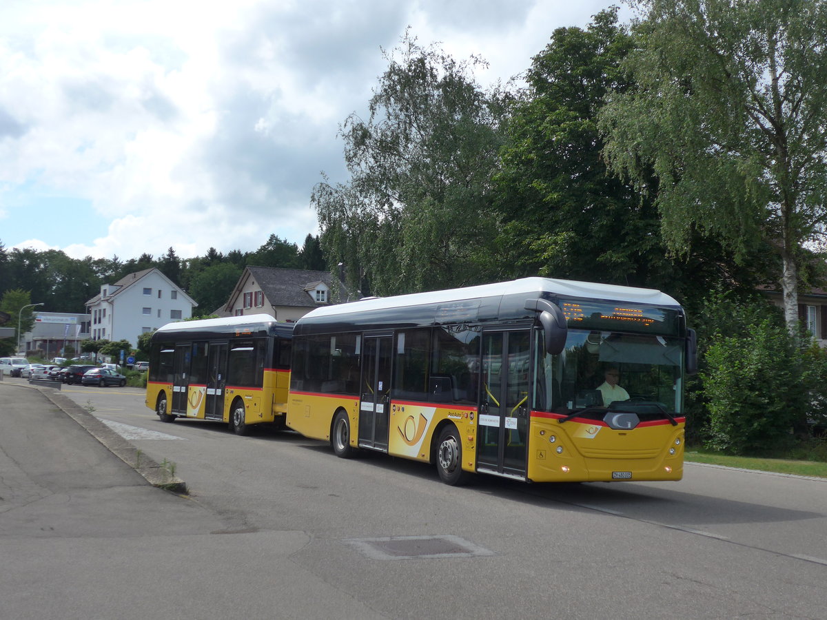 (182'005) - Moser, Flaach - Nr. 289/ZH 480'005 - Gppel am 10. Juli 2017 beim Bahnhof Rickenbach-Attikon