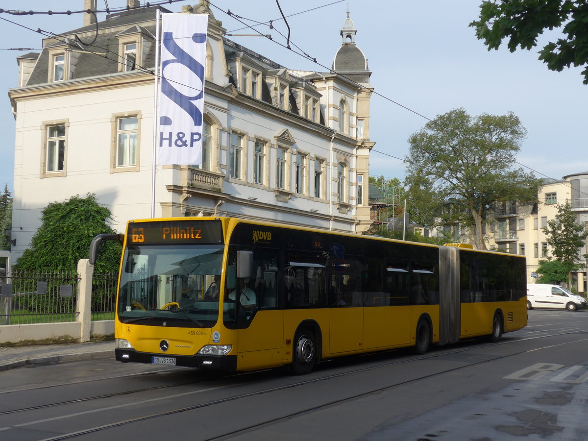 (183'150) - DVB Dresden - Nr. 459'036/DD-VB 1336 - Mercedes am 9. August 2017 in Dresden, Schillerplatz