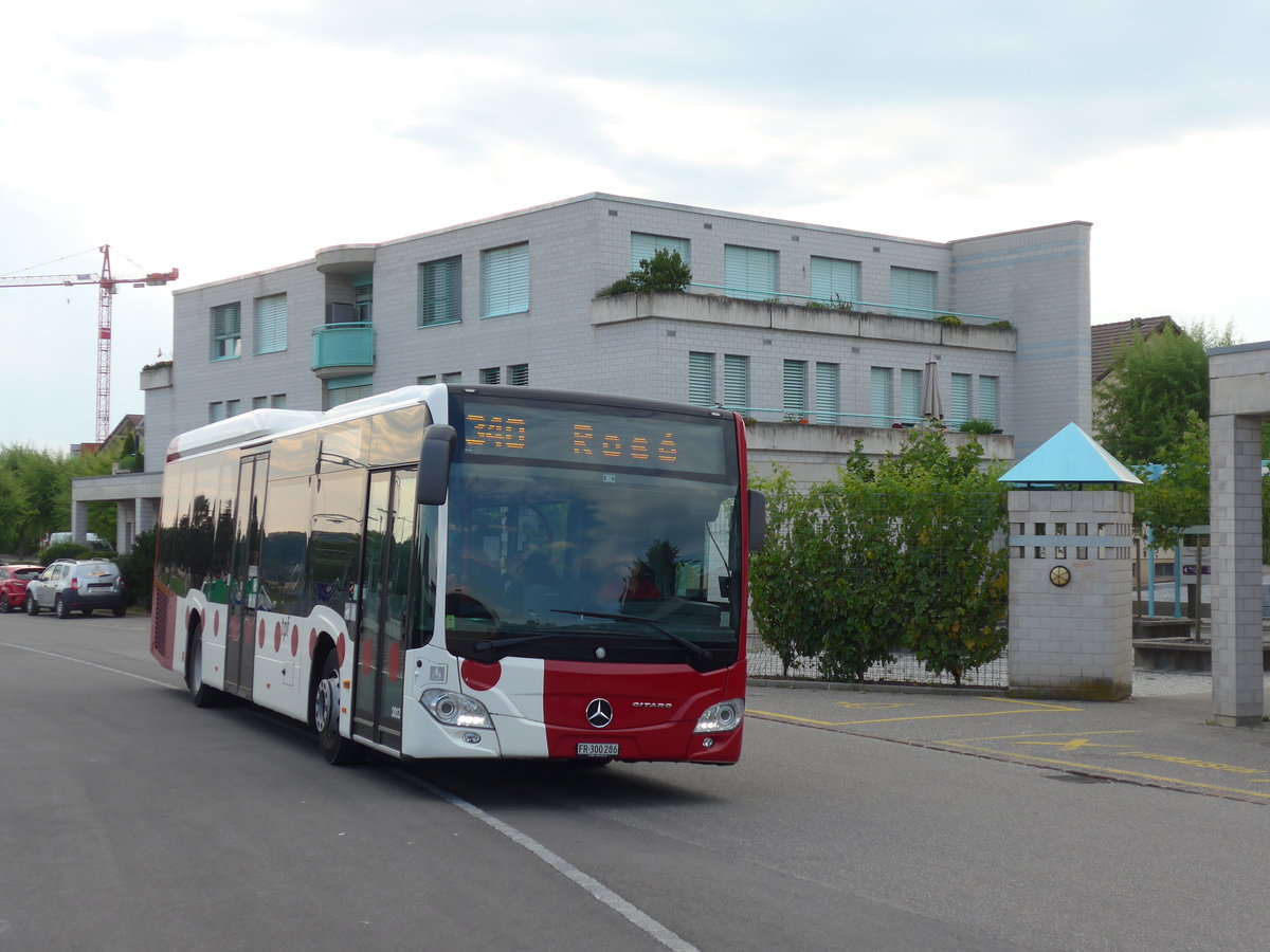 (195'336) - TPF Fribourg - Nr. 1012/FR 300'286 - Mercedes am 31. Juli 2018 beim Bahnhof Grolley