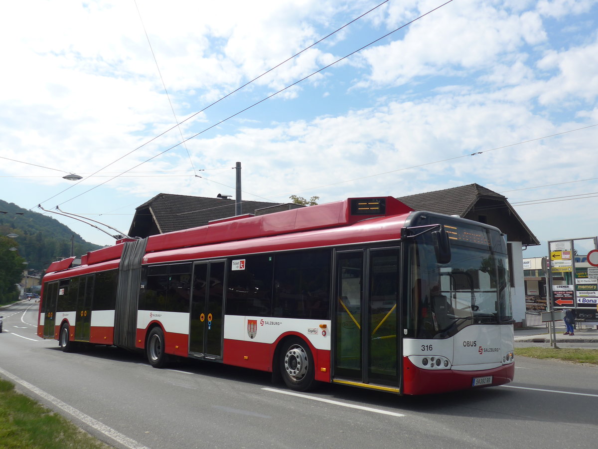 (197'170) - OBUS Salzburg - Nr. 316/S 392 RR - Solaris Gelenktrolleybus (ex TC La Chaux-de-Fonds/CH Nr. 141) am 13. September 2018 in Mayrwies, Daxluegstrasse