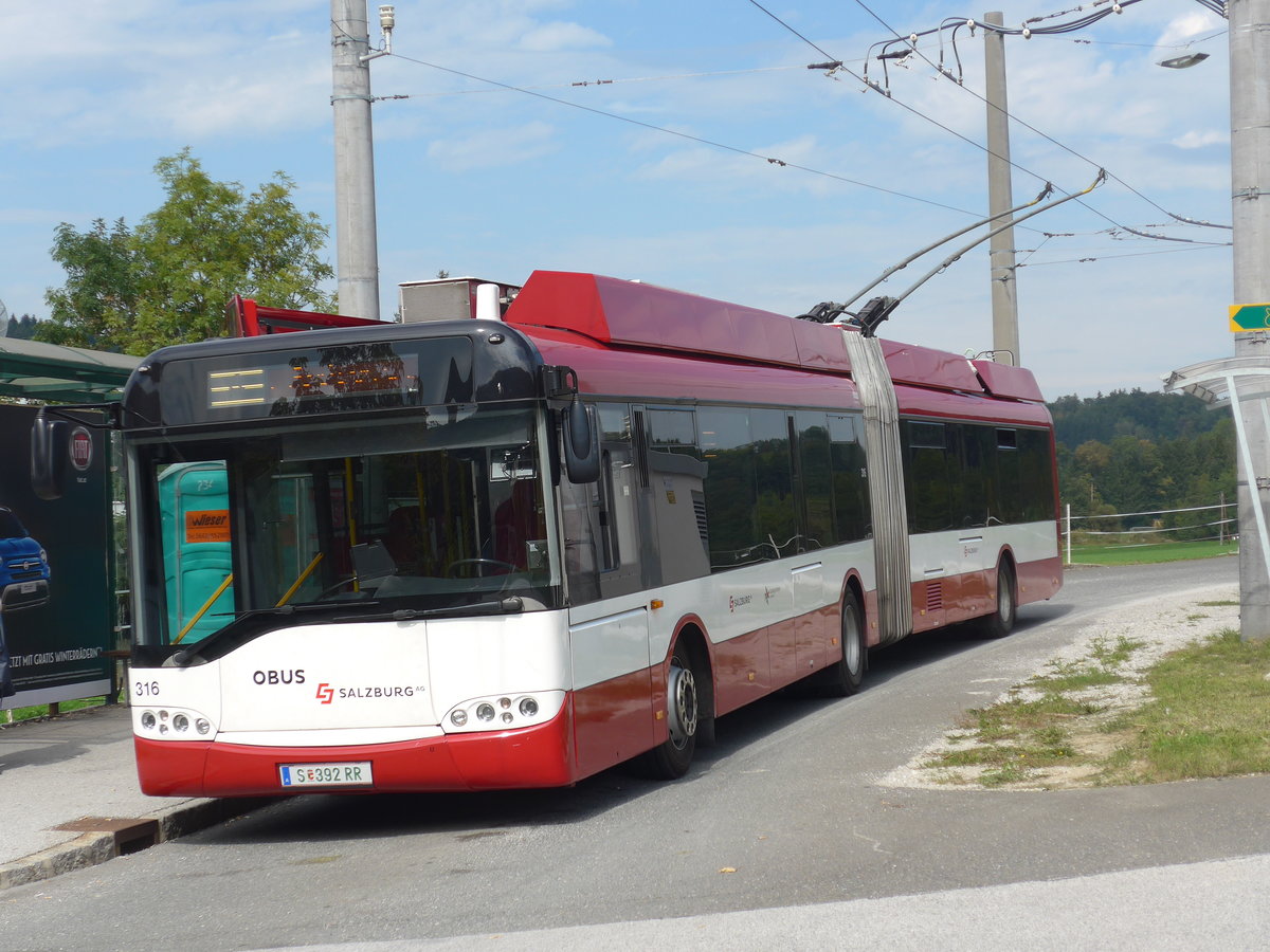 (197'171) - OBUS Salzburg - Nr. 316/S 392 RR - Solaris Gelenktrolleybus (ex TC La Chaux-de-Fonds/CH Nr. 141) am 13. September 2018 in Mayrwies, Daxluegstrasse