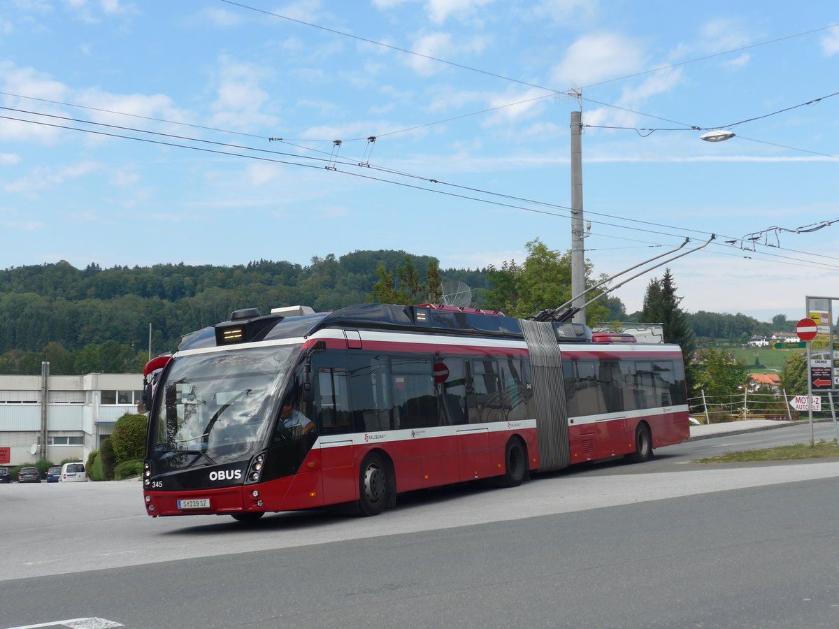 (197'185) - OBUS Salzburg - Nr. 345/S 239 SZ - Solaris Gelenktrolleybus am 13. September 2018 in Mayrwies, Daxluegstrasse