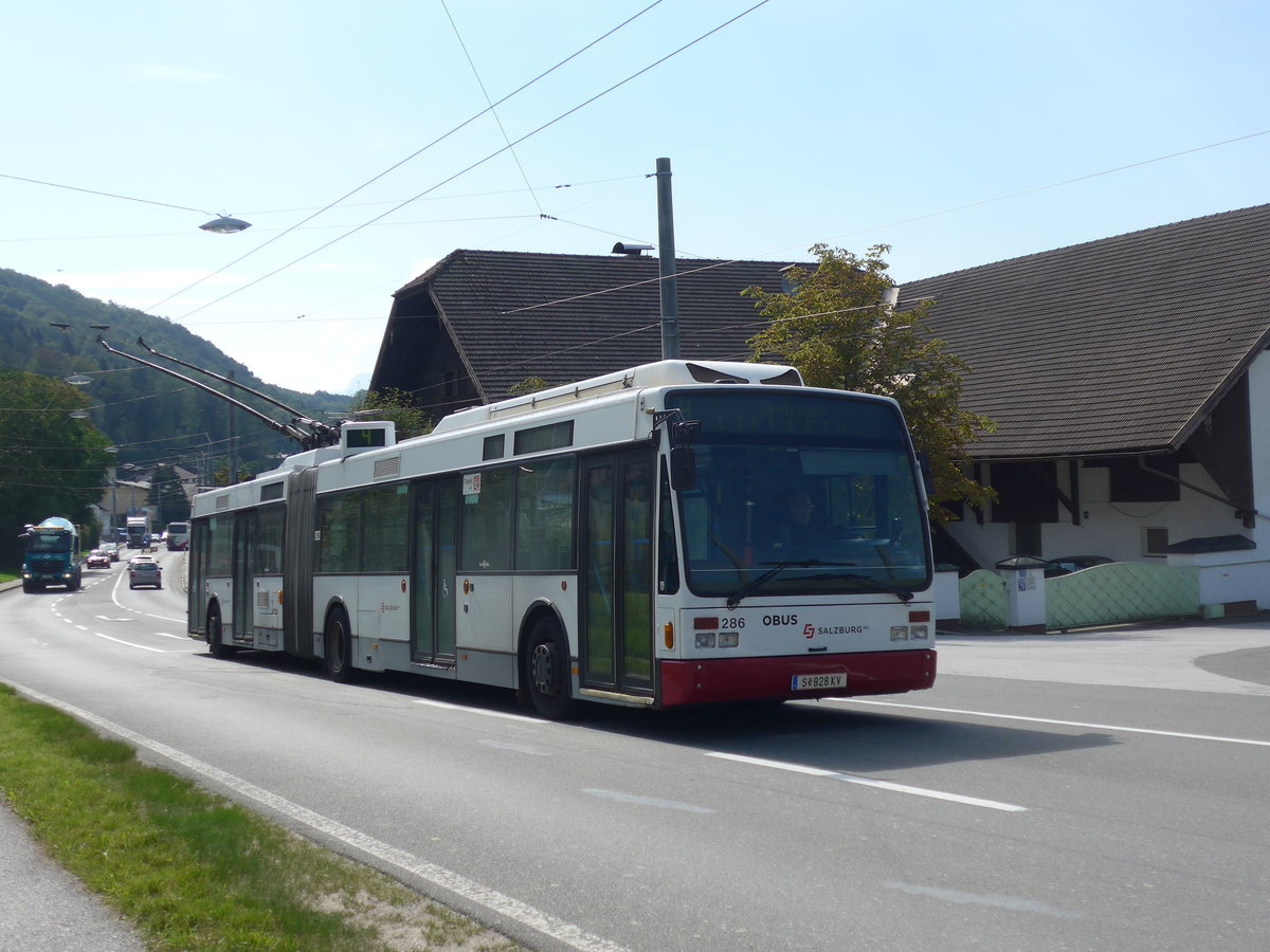 (197'204) - OBUS Salzburg - Nr. 286/S 928 KV - Van Hool Gelenktrolleybus am 13. September 2018 in Mayrwies, Daxluegstrasse