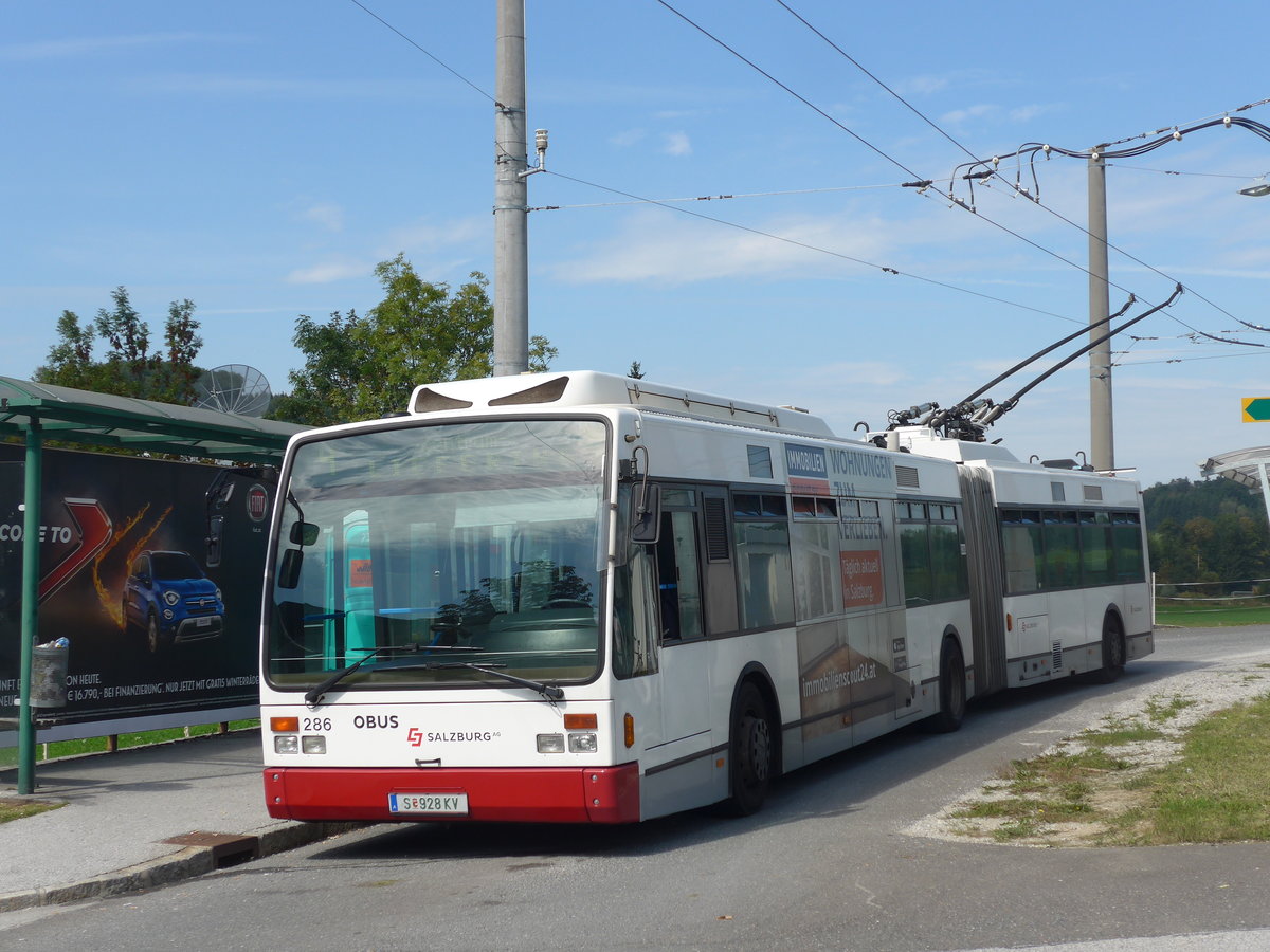 (197'205) - OBUS Salzburg - Nr. 286/S 928 KV - Van Hool Gelenktrolleybus am 13. September 2018 in Mayrwies, Daxluegstrasse