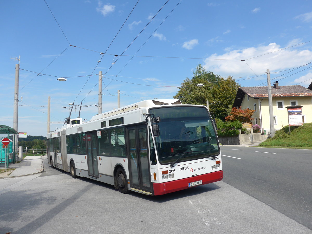 (197'207) - OBUS Salzburg - Nr. 286/S 928 KV - Van Hool Gelenktolleybus am 13. September 2018 in Mayrwies, Daxluegstrasse