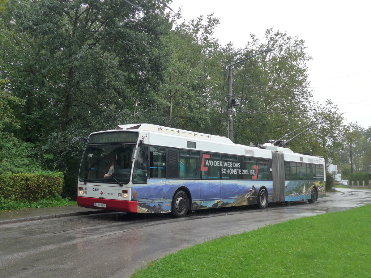 (197'464) - OBUS Salzburg - Nr. 288/S 163 KW - Van Hool Gelenktrolleybus am 14. September 2018 in Salzburg, Salzachsee