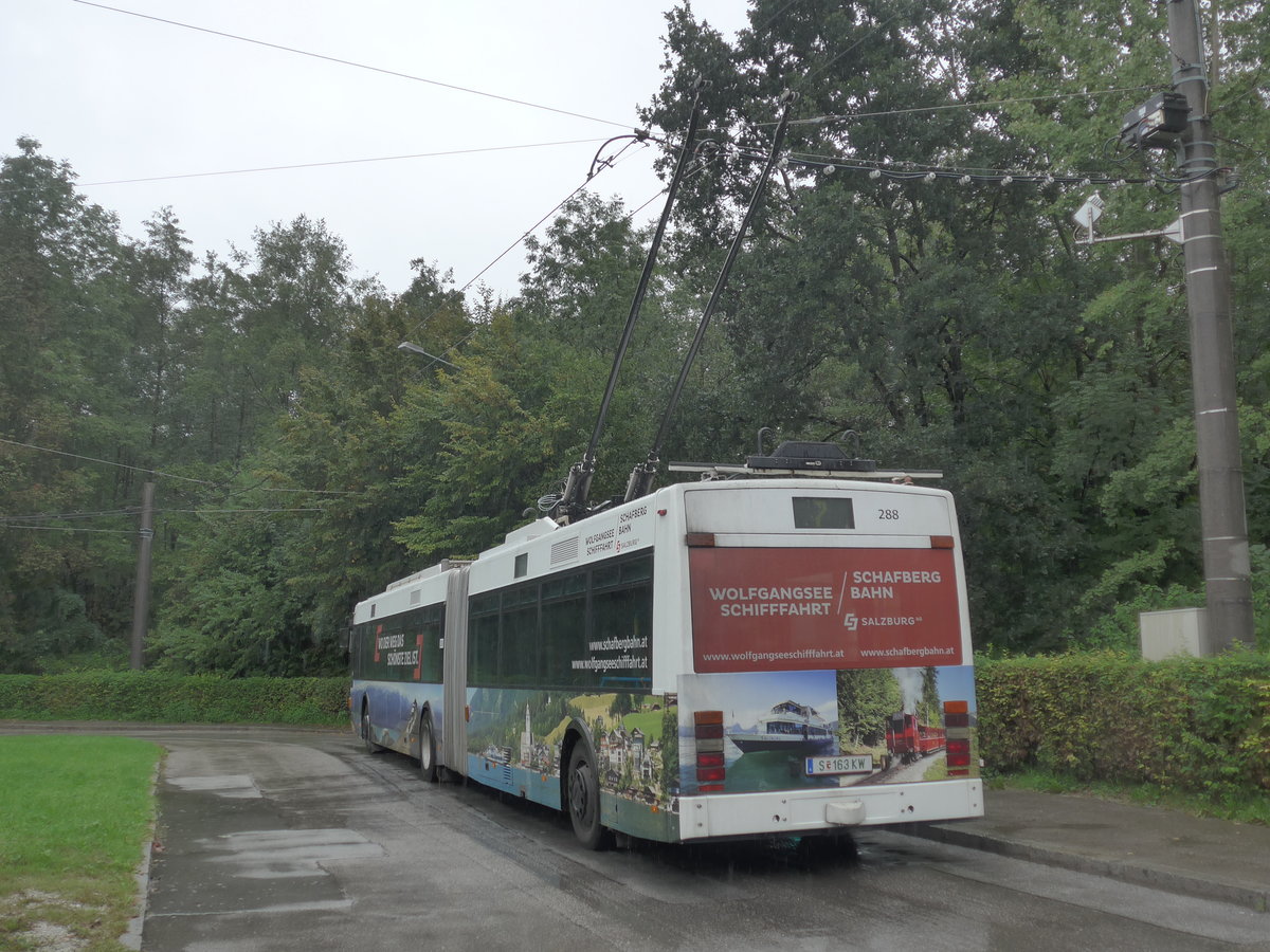 (197'465) - OBUS Salzburg - Nr. 288/S 163 KW - Van Hool Gelenktrolleybus am 14. September 2018 in Salzburg, Salzachsee