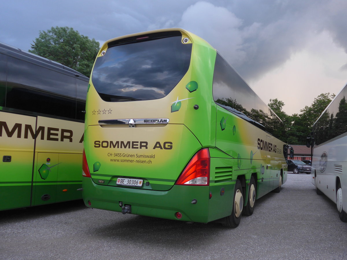 (206'650) - Sommer, Grnen - BE 30'306 - Neoplan (ex Wckerlin, Zrich) am 22. Juni 2019 in Thun, Kleine Allmend