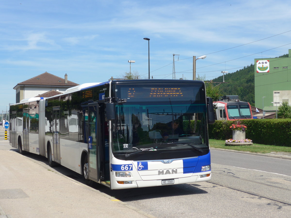(206'830) - TL Lausanne - Nr. 667/VD 1568 - MAN am 24. Juni 2019 beim Bahnhof Moudon