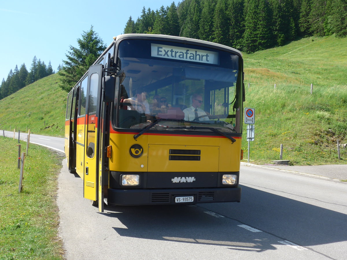 (206'903) - Oser, Brchen - VS 93'575 - NAW/Lauber (ex Epiney, Ayer) am 30. Juni 2019 am Glaubenbergpass