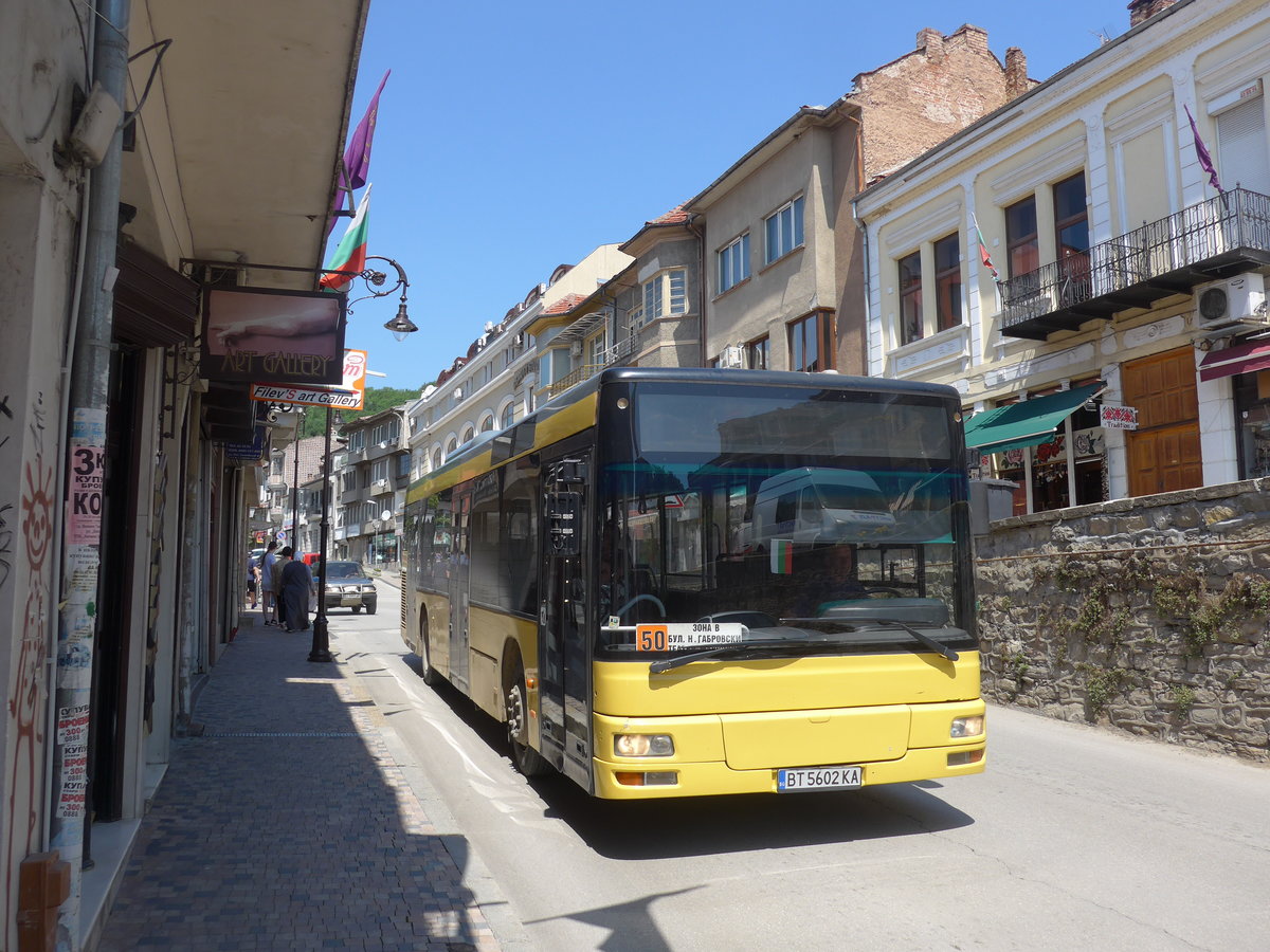 (207'381) - Gardski Transport - BT 5602 KA - MAN am 5. Juli 2019 in Veliko Tarnovo