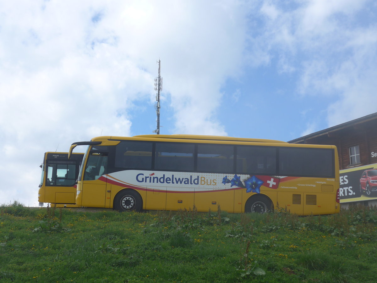 (207'740) - AVG Grindelwald - Nr. 30/BE 171'240 - Mercedes am 9. Juli 2019 auf dem Mnnlichen