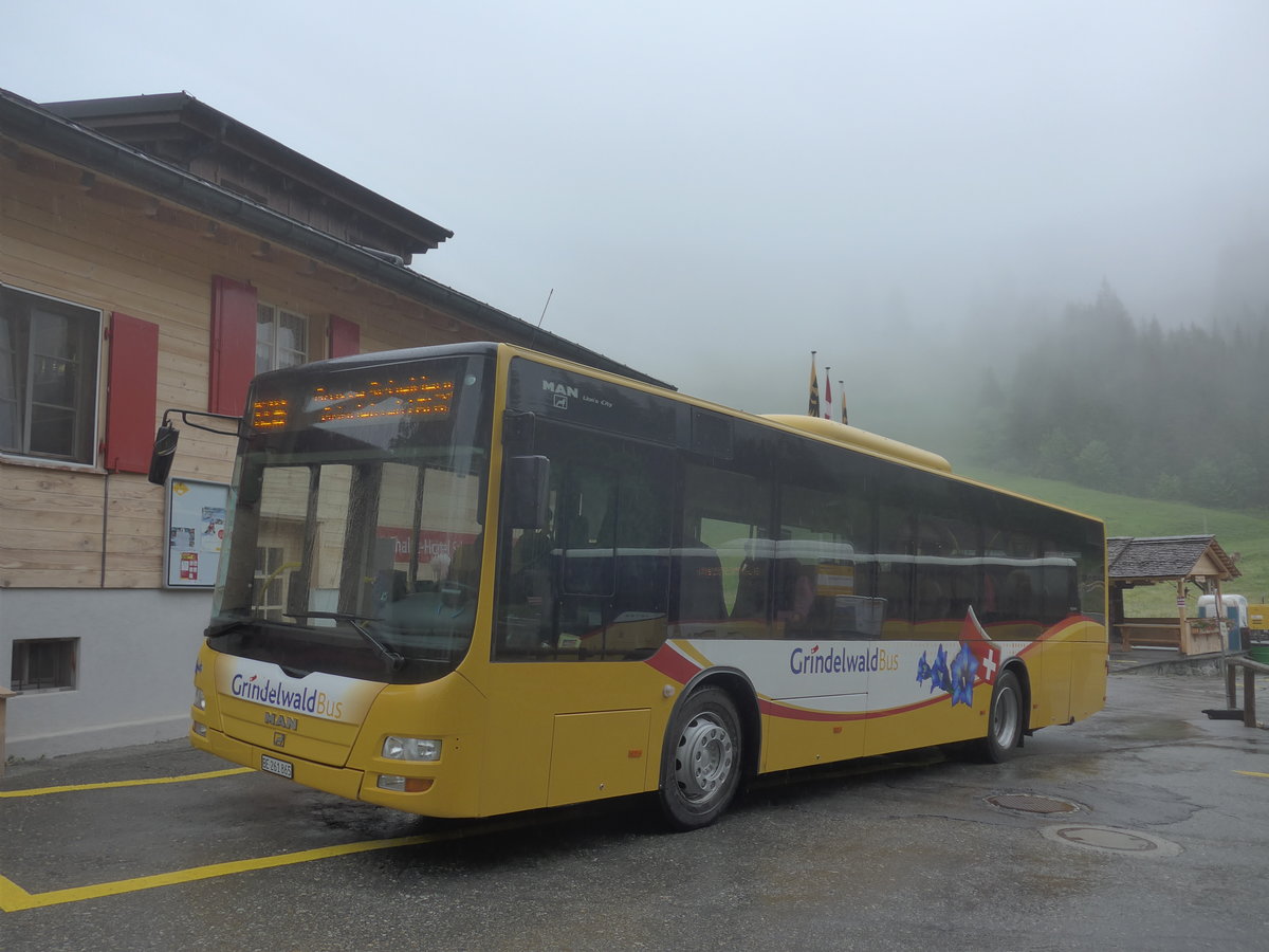 (217'628) - Grindelwaldbus, Grindelwald - Nr. 11/BE 261'865 - MAN/Gppel am 7. Juni 2020 auf der Schwarzwaldalp
