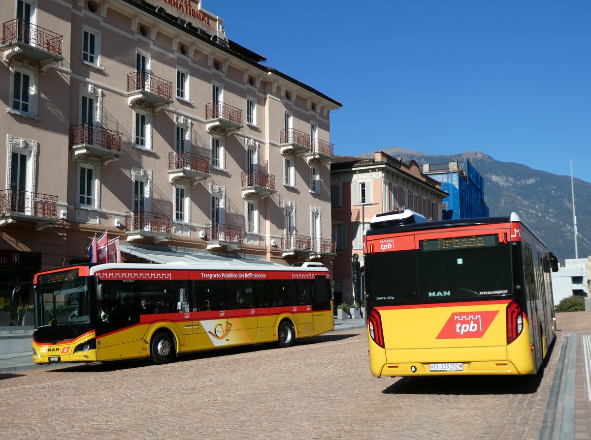 (229'190) - AutoPostale Ticino - TI 339'201 + TI 339'202 - MAN am 14. Oktober 2021 beim Bahnhof Bellinzona