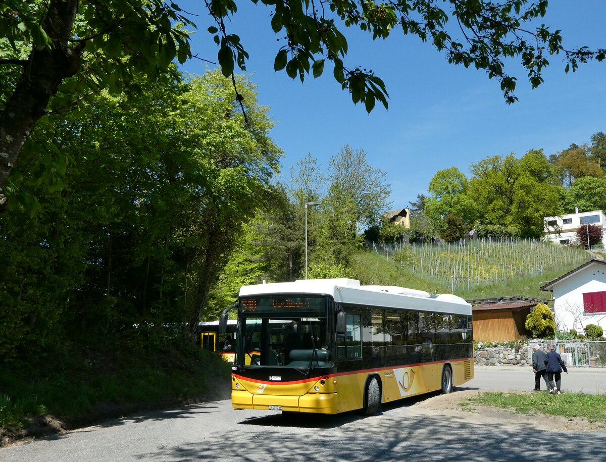 (235'042) - Stutz, Jonen - ZH 407'231 - Scania/Hess (ex PostAuto Bern; ex AVG Meiringen Nr. 67; ex AVG Meiringen Nr. 76; ex Steiner, Messen) am 2. Mai 2022 in Ringlikon, Langwis