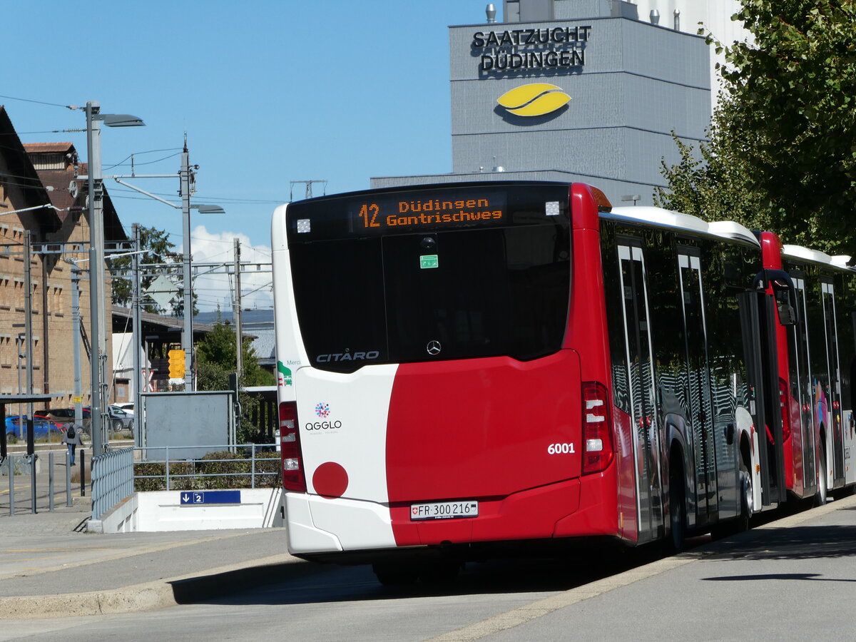 (239'998) - TPF Fribourg - Nr. 6001/FR 300'216 - Mercedes am 11. September 2022 beim Bahnhof Ddingen
