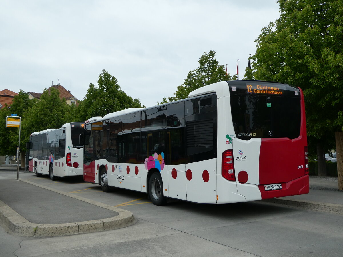 (250'299) - TPF Fribourg - Nr. 6001/FR 300'216 - Mercedes am 20. Mai 2023 beim Bahnhof Ddingen