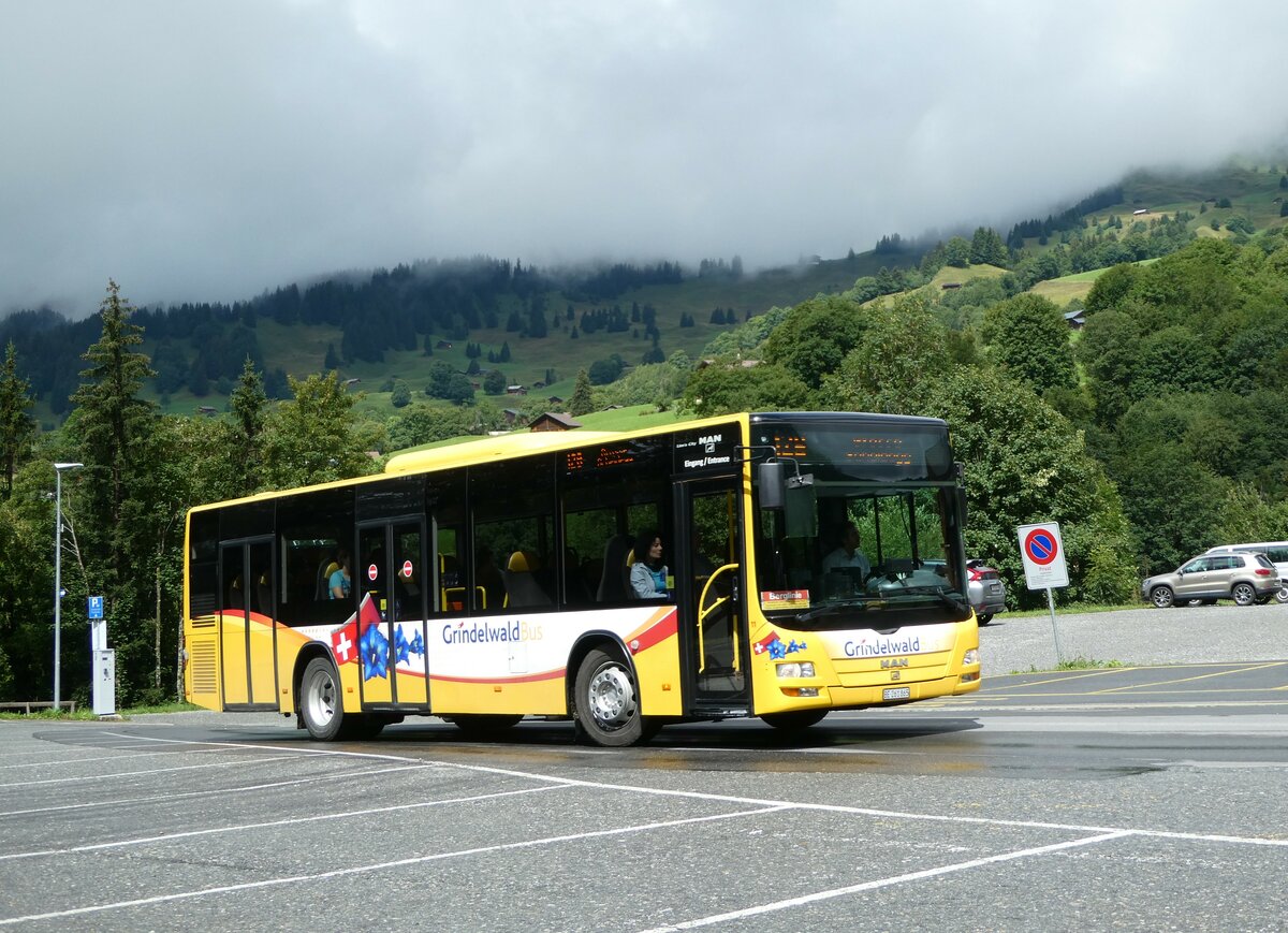 (253'404) - Grindelwaldbus, Grindelwald - Nr. 11/BE MAN/Gppel am 5. August 2023 in Grindelwald, Oberer Gletscher