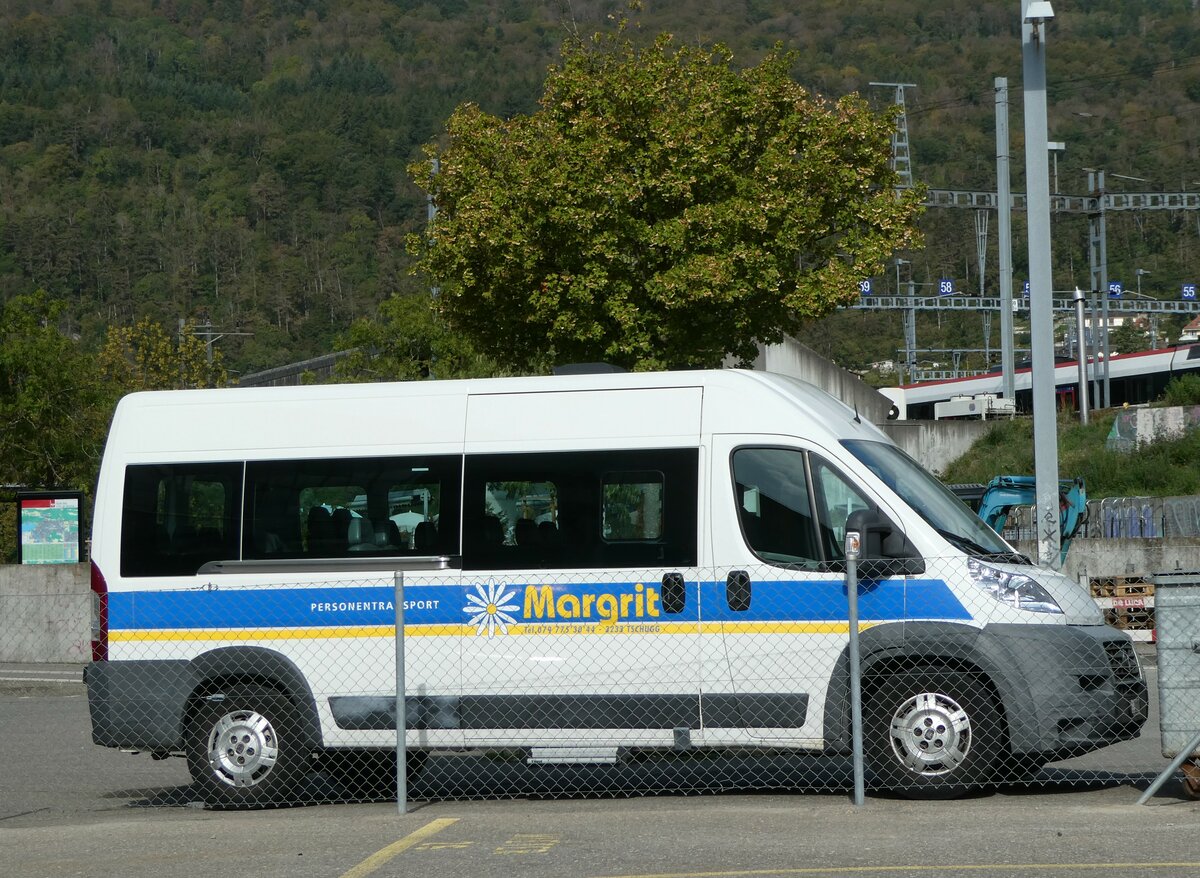 (255'716) - Margrit, Tschugg - BE 548'250 - Fiat am 30. September 2023 in Biel, Car Terminal