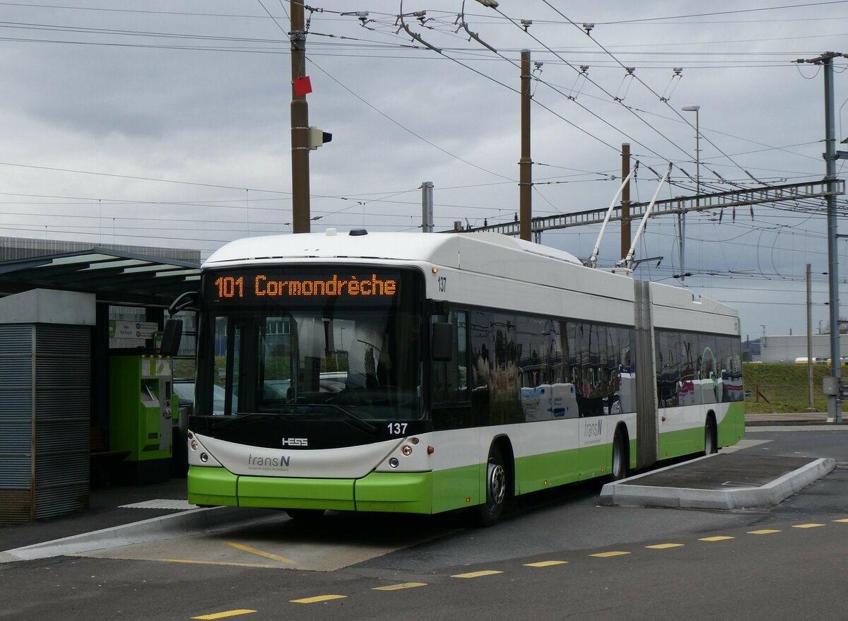 (258'960) - transN, La Chaux-de-Fonds - Nr. 137 - Hess/Hess Gelenktrolleybus (ex TN Neuchtel Nr. 137) am 26. Januar 2024 beim Bahnhof Marin-pagnier