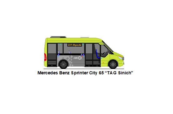 TAG Sinich - Mercedes Benz Sprinter City 65