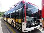 winterthur/886240/276141---postauto-wallis---pid (276'141) - PostAuto Wallis - PID 12'139 - eMercedes am 31. Mai 2025 in Winterthur, Daimler Buses