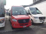 Mercedes/733728/224875---vzo-grueningen---nr (224'875) - VZO Grningen - Nr. 252/ZH 655'252 - Mercedes am 11. April 2021 in Winterthur, EvoBus
