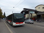 MAN/526481/175627---st-gallerbus-st-gallen (175'627) - St. Gallerbus, St. Gallen - Nr. 280/SG 198'280 - MAN am 15. Oktober 2016 in St. Gallen, OLMA
