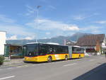 (216'864) - PostAuto Ostschweiz - SZ 125'405 - MAN am 9. Mai 2020 in Reichenburg, Kreuzwies