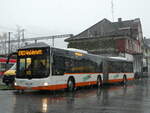 (257'295) - Regiobus, Gossau - Nr. 47/SG 332'551 - MAN am 28. November 2023 beim Bahnhof Appenzell 