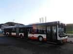 (258'033) - Bamert, Wollerau - (SZ 24'744) - MAN am 30. Dezember 2023 in Winterthur, Daimler Buses