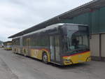 (215'373) - PostAuto Bern - BE 546'245 - Solaris am 22.