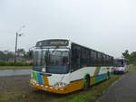 (211'762) - Transportes H&F, Cartago - 3064 - Busscar am 20.