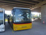 Iveco/709686/219528---autopostale-ticino---pid (219'528) - AutoPostale Ticino - PID 11'442 - Iveco am 9. August 2020 in Kerzers, Murtenstrasse