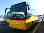 Iveco/825653/255021---autotour-visp---pid (255'021) - Autotour, Visp - PID 11'948 - Iveco am 9. September 2023 in Kerzers, Interbus